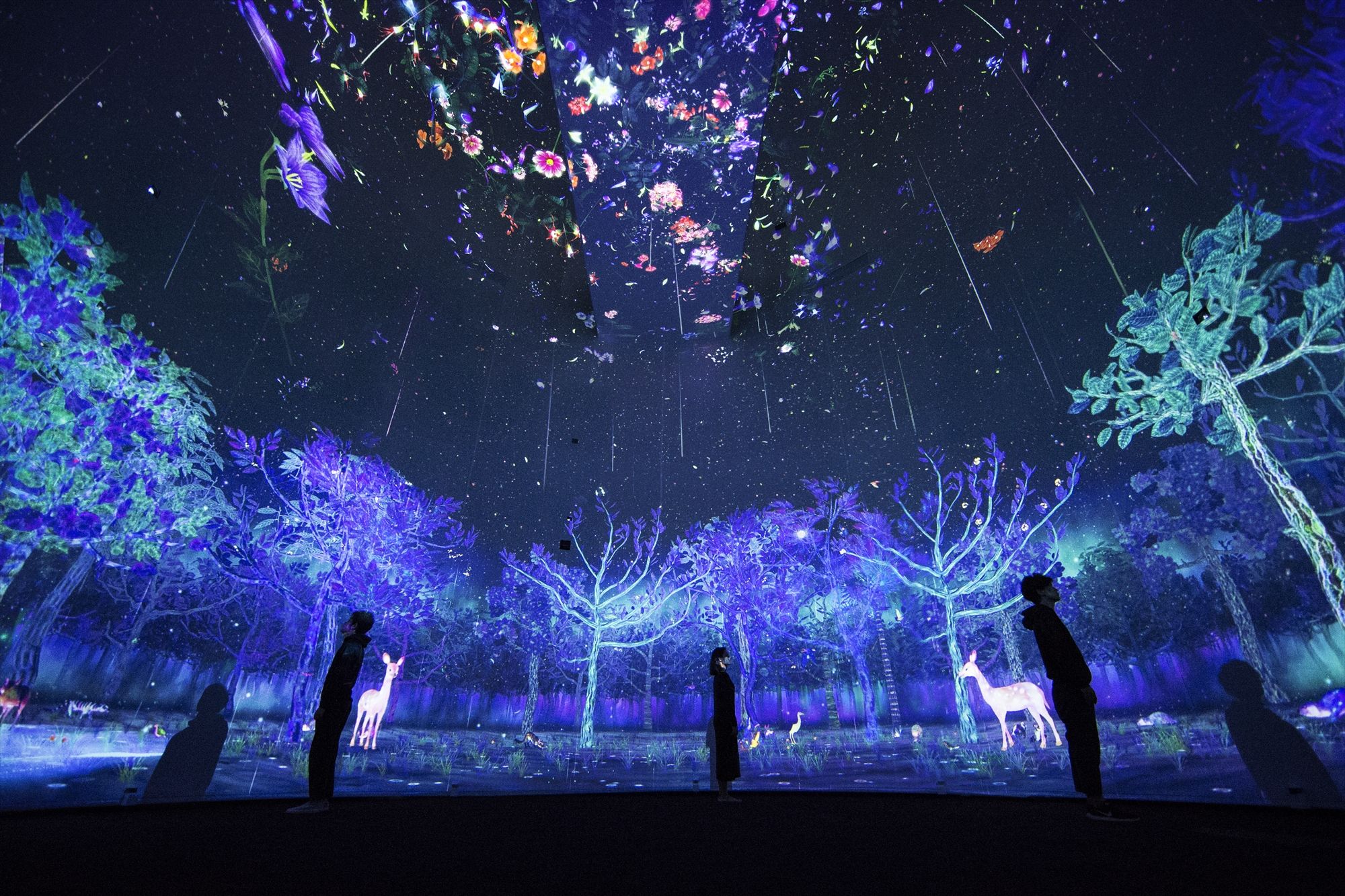 沉浸式空間(圖1) 沉浸式空間(圖1)